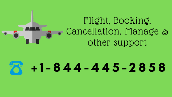 Airline Customer Support Number